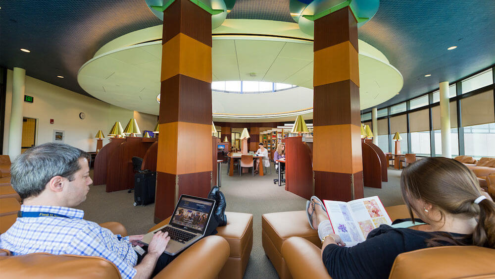 Medical student study in the Edward and Barbara Netter Library on the North haven campus.