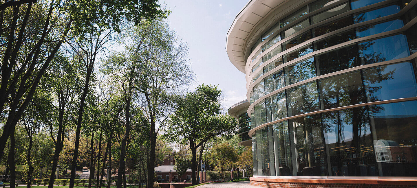 Arnold Bernhard Library windows